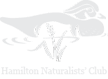 Hamilton Naturalists' Club